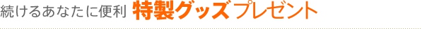 持ち歩きに便利　携帯用ケースプレゼント
