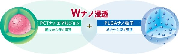PLGA　“ヒノキチオール※”等の成分　断面イメージ図：生体適合性高分子＝PLGA(乳酸・グリコール酸共重合体)という基材を用い、粒子設計されたナノパウダーなので、頭皮での蒸発や皮脂による妨害から成分を守ります。　顕微鏡写真：“ヒノキチオール”などの成分をはじめ、大切な成分を内包した160ナノメートルのナノパウダー粒子。　※頭皮・毛髪の洗浄剤として
