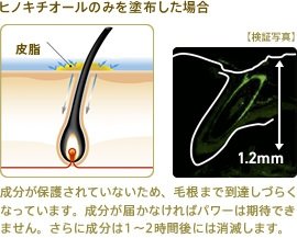 ヒノキチオールのみを塗布した場合：成分が保護されていないため、毛根まで到達しづらくなっています。成分が届かなければパワーは期待できません。さらに成分は1～2時間後には消滅します。