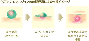 ナノパウダー 8種の成分をパウダーに内包　ヒノキチオール※3　クララ根エキス※2　キナノキ樹皮エキス※2　※2 湿潤剤として　※3 清浄材として