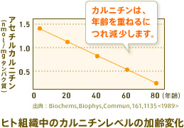 グラフ：ヒト組織中のカルニチンレベルの加齢変化　アセチルカルニチン(nmol/mg タンパク質)　カルニチンは、年齢を重ねるにつれ減少します。　出典：Biochem,Biophys,Res,Commun.,161,1135 <1989>
