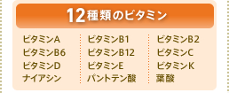 12種類のビタミン ビタミンA ビタミンB6 ビタミンD ナイアシン ビタミンB1 ビタミンB12 ビタミンE パントテン酸 ビタミンB2 ビタミンC ビタミンK 葉酸