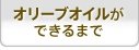 オリーブオイルができるまで