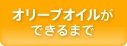 オリーブオイルができるまで