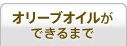 オリーブオイルができるまで