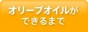 オリーブオイルができるまで