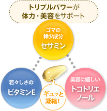 トコトリエノールパワーが体力・美容をサポート　ゴマの稀少成分：セサミン、若々しさの：ビタミンE、美容に嬉しい：トコトリエノール　ギュッと1粒に凝縮