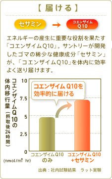 【届ける】セサミン→CoQ10 エネルギーの生産に重要な役割を果たす「コエンザイムQ10」。サントリーが開発したゴマの希少な健康成分「セサミン」が、「コエンザイムQ10」を体内に効率よく送り届けます。 CoQ10の体内移行量(接種後24時間) 出典:サントリー健康科学研究所 ラット実験データ(CoQ10 30mg/kg)