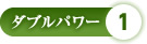 ダブルパワー1