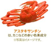 アスタキサンチンは、カニなどの赤い色素成分　※写真はイメージです。
