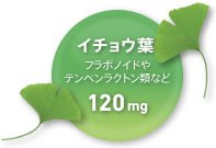 イチョウ葉 フラボノイドやテンペンラクトン酸など120mg