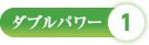 ダブルパワー1