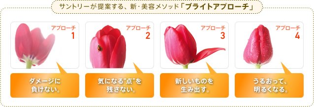 サントリーが提案する、新・美容メソッド「ブライトアプローチ」 アプローチ1:ダメージに負けない アプローチ2:気になる“点”を残さない。 アプローチ3:新しいものを生み出す。 アプローチ4:うるおって、明るくなる、