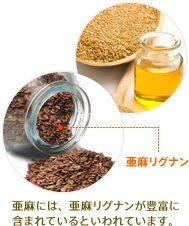 亜麻リグナン：亜麻には、亜麻リグナンが豊富に含まれているといわれています