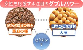 女性を応援する注目のダブルパワー：欧米の自然の恵み(亜麻の種)　日本の代表食材(大豆)　ビタミンE 