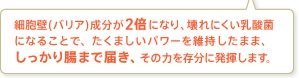 細胞壁(バリア)成分が2倍になり、壊れにくい乳酸菌になることで、たくましいパワーを維持したまま、しっかり腸まで届き、その力を存分に発揮します。