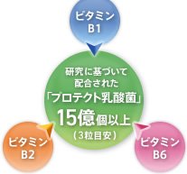 ビタミンB1 ビタミンB2 ビタミンB6 研究に基づいて配合された「プロテクト乳酸菌」15億個(3粒目安)