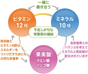 不足しがちな栄養素の補給(ビタミン12種、ミネラル10種)一緒に働き合う　疲れにくいカラダをめざす(果実酸、クエン酸、リンゴ酸)　果実酸とビタミンB群は、エネルギーをつくりだすためにも大切な栄養素　各栄養素とのバランスを考えてミネラルと果実酸が配合されています