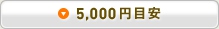 5,000円目安