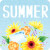 SUMMER GIFT 2013