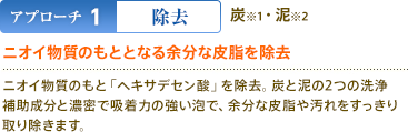 アプローチ1:除去 炭※1・泥※2 ニオイ物質のもととなる余分な皮脂を除去 ニオイ物質のもと「ヘキサデセン酸」を除去。炭と泥の2つの洗浄補助成分と濃密で吸着力の強い泡で、余分な皮脂や汚れをすっきり取り除きます。