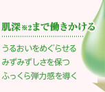 肌深※2まで働きかける うるおいをめぐらせる みずみずしさを保つ ふっくら弾力感を導く