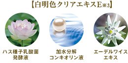 【白明色クリアエキスE※3】 ハス種子乳酸菌 発酵液 加水分解コンキオリン液 エーデルワイスエキス