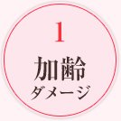 1 加齢ダメージ
