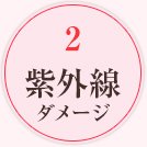2 紫外線ダメージ