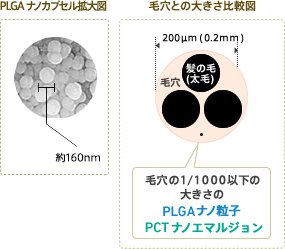 PLGAナノカプセル拡大図 約160nm 毛穴の大きさ比較図 毛穴の1/1000以下の大きさのPLGAナノ粒子 PCTナノエマルジョン