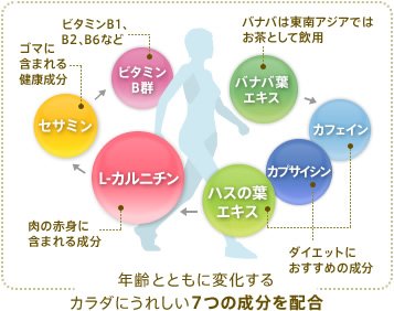 年齢とともに変化するカラダにうれしい7つの成分を配合:バナバ葉エキス(バナバは東南アジアではお茶として飲用)→カフェイン・カプサイシン・ハスの葉エキス(ダイエットにおすすめの成分)→L-カルニチン(肉の赤身に含まれる成分)→セサミン(ゴマに含まれる健康成分)→ビタミンB群(ビタミンB1、B2、B6など)