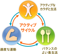 アクティブサイクル アクティブなカラダと生活 バランスのよい食生活 適度な運動