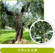 フラントイオ