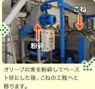 オリーブの実を粉砕してペースト状にした後、こねの工程へと移ります。