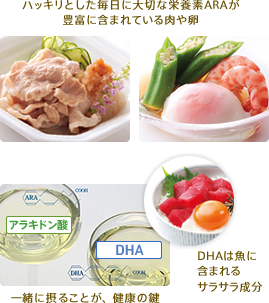 ハッキリとした毎日に大切な栄養素ARAが豊富に含まれている肉や卵　DHAは魚に含まれるサラサラ成分　アラキドン酸 DHA 一緒に摂ることが、健康の鍵
