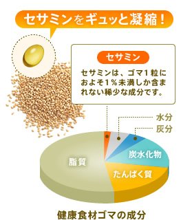 セサミンをギュッと凝縮！　健康食材ゴマの成分　セサミン：セサミンは、ゴマ1粒におよそ1%未満しか含まれない稀少な成分です。