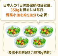 日本人の1日の野菜摂取目安量、350gを摂るには毎日、野菜小皿を約5皿分も必要! 野菜小皿約5皿(1皿70g換算)