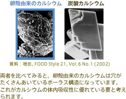 カルシウム吸収 ビタミンD 腸管からのカルシウムの吸収をアップ キシロオリゴ糖 カルシウムやマグネシウムなどの栄養素の吸収を促進