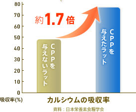 カルシウムの吸収率 キシロオリゴ糖を与えないラット キシロオリゴ糖を与えたラット 約1.3倍 資料：日本栄養素食糧学会