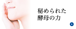 秘められた酵母の力