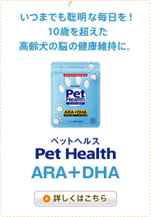 いつまでも聡明な毎日を！10歳を超えた高齢犬の脳の健康維持に。　Pet Health(ペットヘルス)ARA+DHA　詳しくはこちら