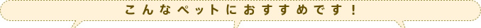 こんなペットにおすすめです！