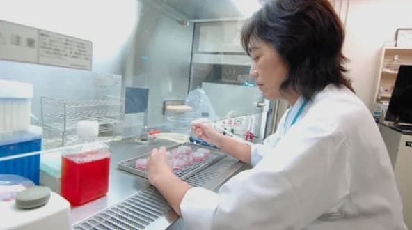 科学の力で裏付け