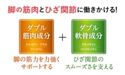 サントリー独自の4成分の組み合わせが脚の筋肉とひざ関節にダブルアプローチ