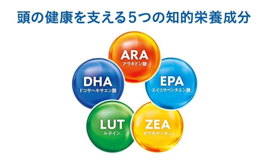 脳の健康をささえる3つのオメガ脂肪酸 DHA・EPA・ARA
