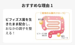 おすすめな理由１ ビフィズス菌を生きたまま配合し、おなかの調子を整える！