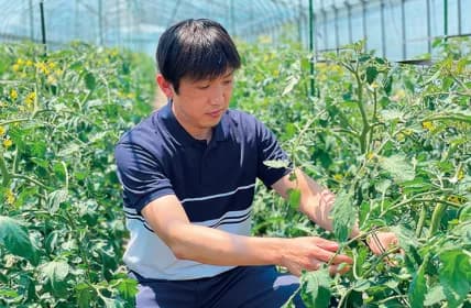 サントリーフラワーズ 花・野菜苗プレゼント