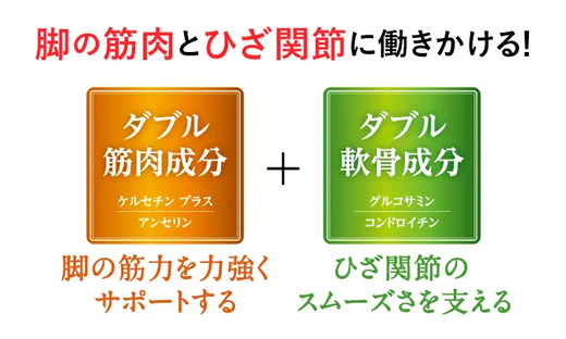 ロコモア メイン画像 2