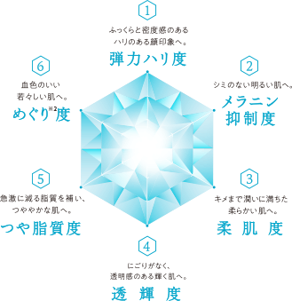 1ふっくらと密度感のあるはりのある顔印象へ。弾力ハリ度 2シミのない明るい肌へ。メラニン抑制度 3決めまで潤いに満ちた柔らかい肌へ柔肌度 4にごりがなく、透明感のある輝く肌へ。透輝度 5急激に減る脂質を補い、つややかな肌へ。つや脂質度 6血色のいい若々しい肌へ。めぐり※2度