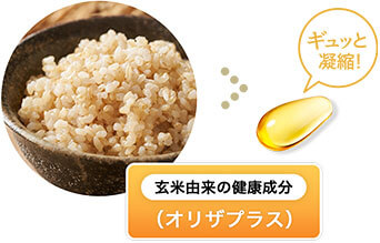 玄米ポリフェノール ギュっと凝縮!(お茶碗約1杯分)